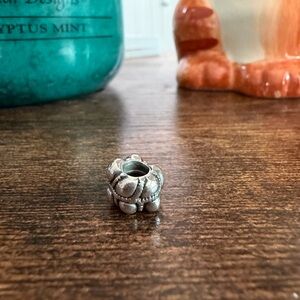 Pandora Silver Journey Bead Charm